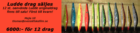 drag f�r havs�ringsfiske