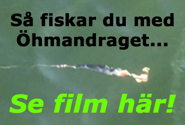 film om hmandraget