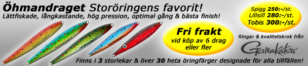 fiske fiskekurser havs�ringskurs havs�ringsfiske