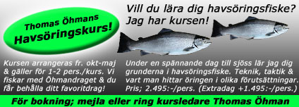 fiske fiskekurser havs�ring