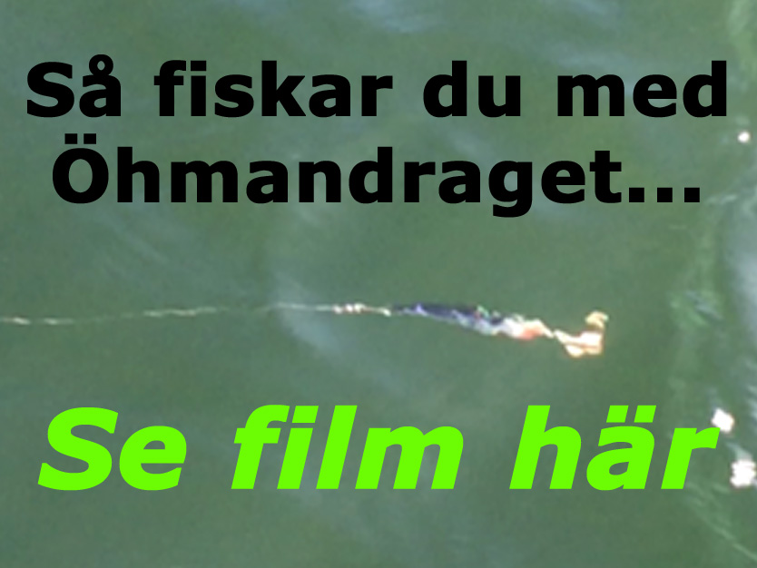 Filmen om hmandraget