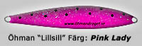fiska havs�ring p� vintern